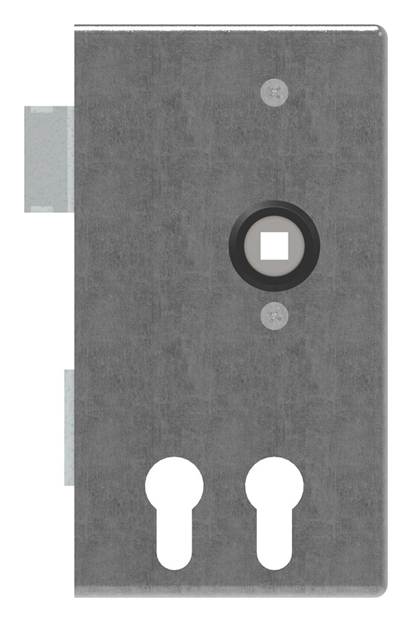 Schlosskasten | für 2 Profilzylinder | Maße: 30x94x172 mm | Stahl S235JR, roh